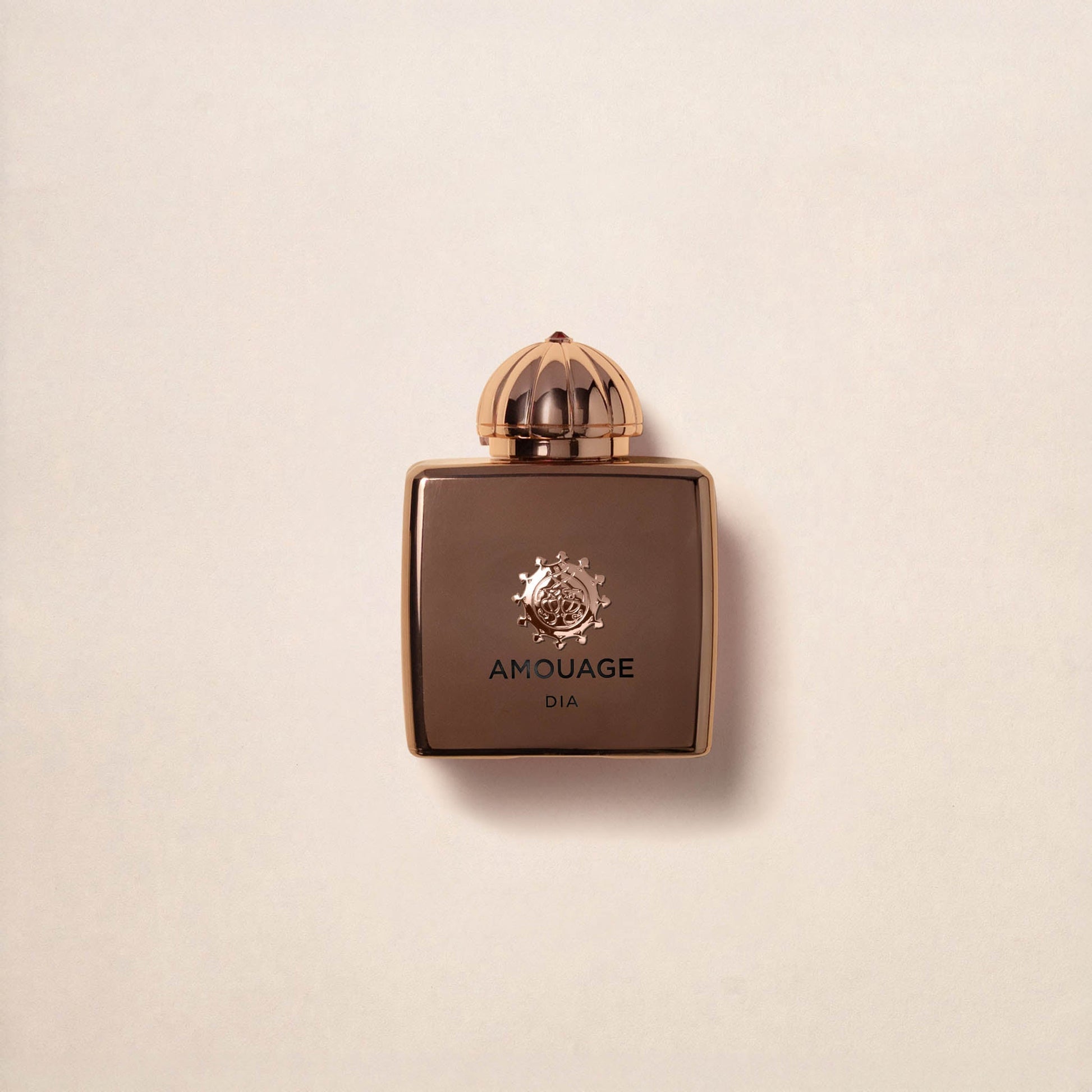Amouage Dia Woman 100ml