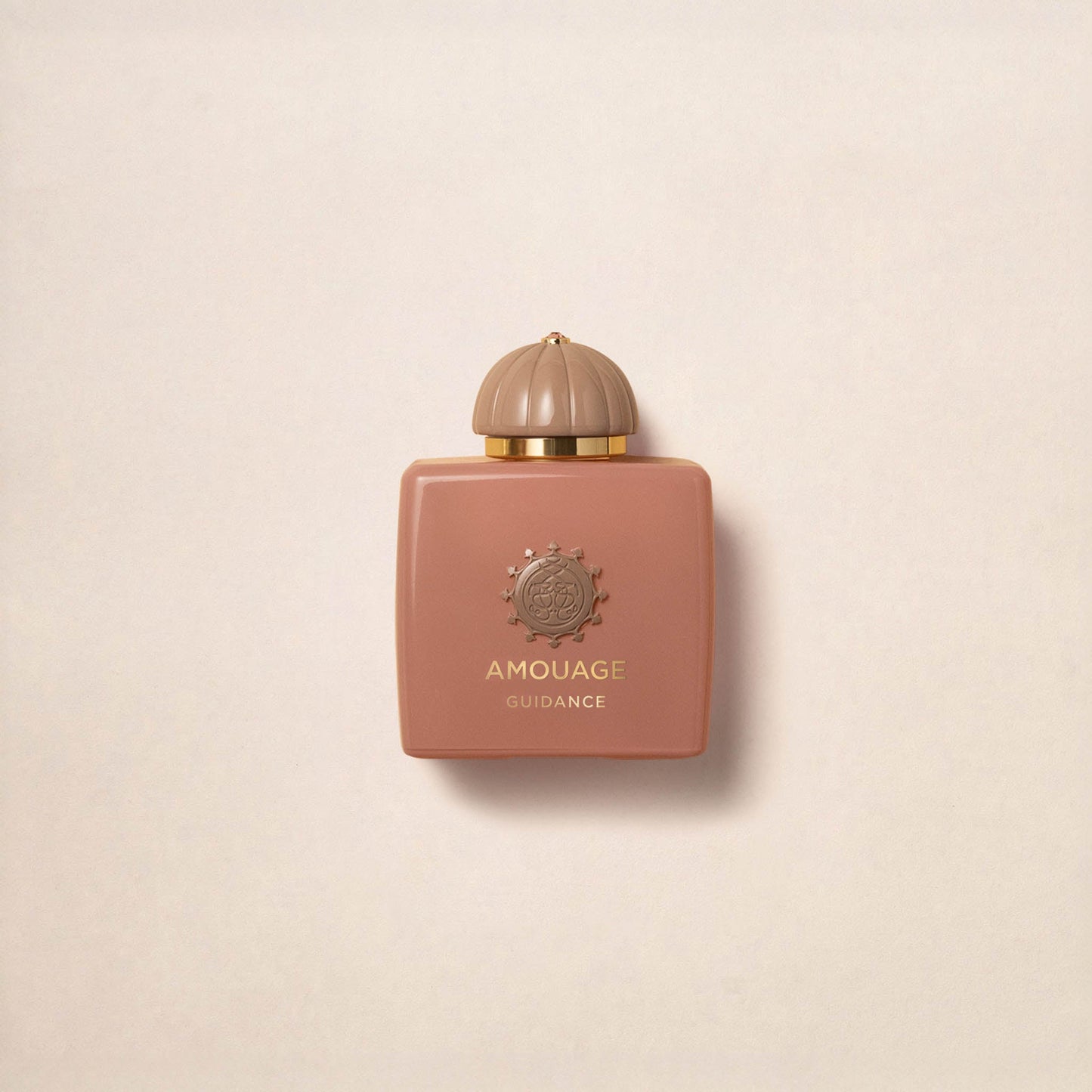 Amouage Guidance 100ml